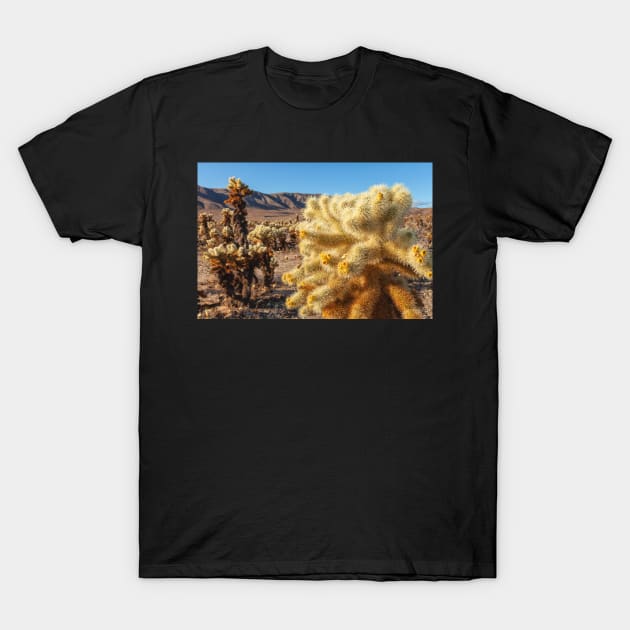 Jumping Cholla T-Shirt by jvnimages